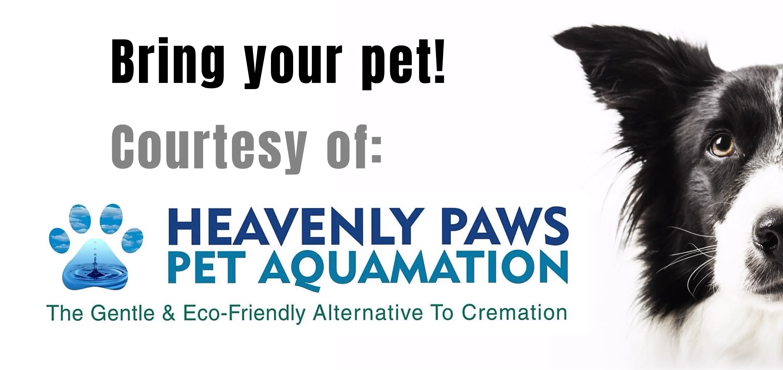 Pet Admission Masthead